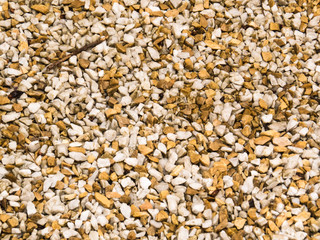 Texture of wet floor after rain, small pebbles, white and light brown, seen close up