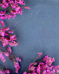 Spring time image of dried pink flowers making a border on a rough textured slate, or blackboard,...
