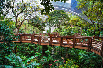 Obraz premium Elevated walkway above tree canopy at Edward Youde Aviary park in Hong Kong