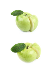 Green sliced apple isolated
