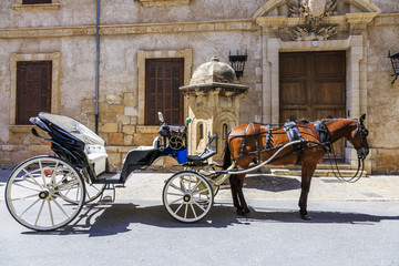 Fototapeta na wymiar Europe, Spain, Balearic Islands, Mallorca. Palma horse carriage. Rides for Tourists.