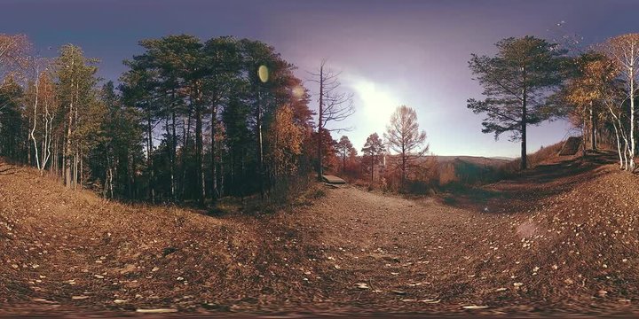 4K 360 VR virtual Reality of a beautiful mountain scene at the autumn time. One walking hiker. Sporty tourist male moving and stoping. Wild Russian mountains, pine forest and meadow. National park