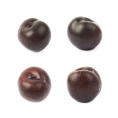 Black plum isolated