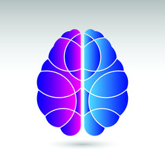 A simple vector illustration of a human brain from a top down view. This brain icon is divided into the left and right sections using two different colors.