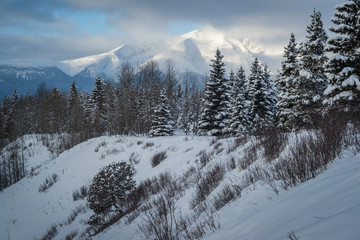 Fototapeta na wymiar Winter in Northern BC - Canada