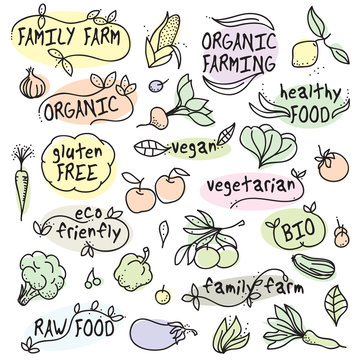 Organic Vegan, Fresh Food, Family Farm
