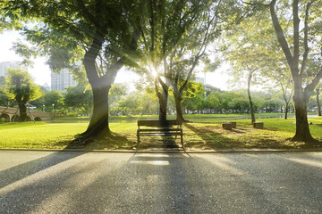 Bench in front of tree is standing alone while light of sun shine behind.