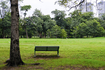 Bench stand alone at park that place for sit and rest for awhile 