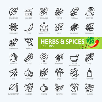 Spices, Condiments And Herbs  - Minimal Thin Line Web Icon Set. Outline Icons Collection. Simple Vector Illustration.