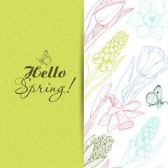 Background for spring season with flowers. Vector illustration for your design