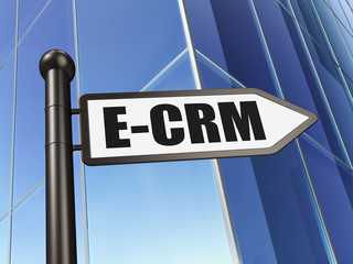 Business concept: sign E-CRM on Building background, 3D rendering