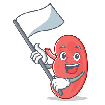 With Flag Kidney Mascot Cartoon Style