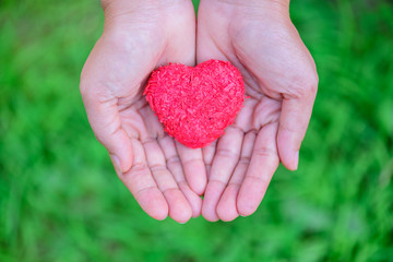 Fototapeta premium Woman giving red heart on green grass background and love in valentine's day. People, charity, family and Love concept.