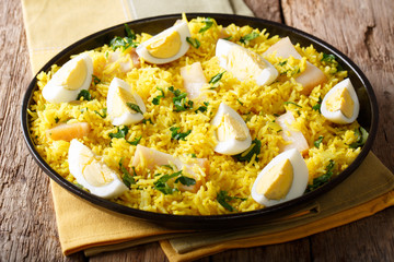 Kedgeree tasty food with rice, fish, boiled eggs, cilantro close-up on a plate. horizontal