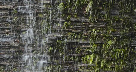 Waterfall from the Brick