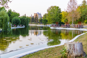Fototapeta premium Park Dobrich