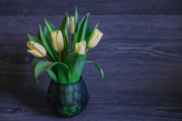 flowers tulips in celebration of international women's day