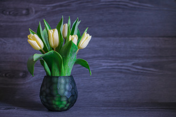 flowers tulips in celebration of international women's day