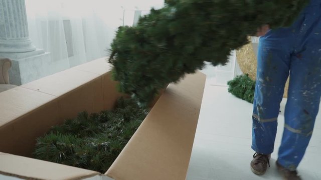 Male master is taking branches of artificial Christmas tree from box in photo studio. Man is in blue uniform and the container is made with pasterboard. Room is very light, with white walls and