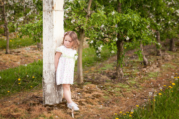 Naklejka na ściany i meble Beautiful young girl in spring garden