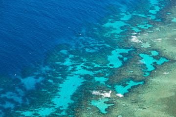  the great reef from the high