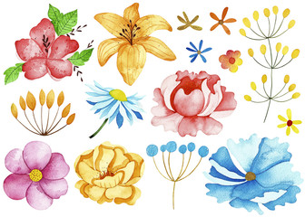 Watercolor spring collection. Perfect for you postcard design,invitations,projects,wedding card,poster,packaging.