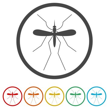 Mosquito icon, 6 Colors Included
