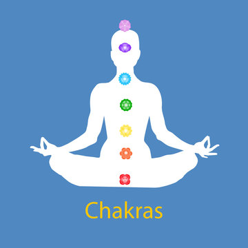 Famale body in lotus yoga asana with seven chakras on blue background. Root, Sacral, Solar, Heart, Throat, 3rd Eye, Crown chakras. Drawing Vector illustration eps10