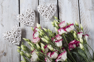 Holidays background : on white background pink with white flowers and hearts . Wedding, Valentines day, birthday or celebration background