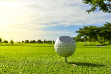 White Golf ball put on green grass of golf course