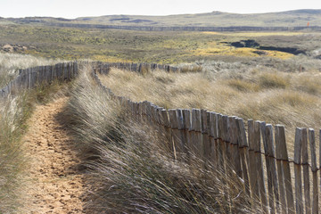 côte sauvage, quiberon, bretagne