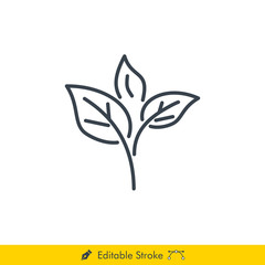 Tea Leaves Icon / Vector - In Line / Stroke Design