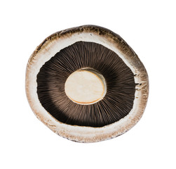 fresh brown portabello mushroom isolated on white background. File contains a clipping path.