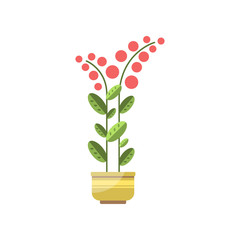House plant, indoor flower in pot, elegant home decor vector Illustration