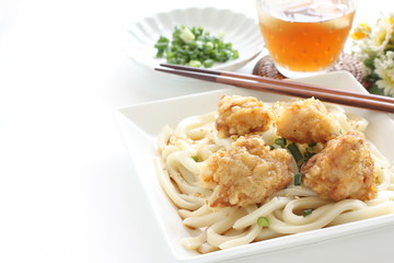 Japanese summer food, friend chicken and  cold udon noodles with tea