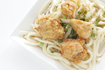 Japanese summer food, cold udon noodles