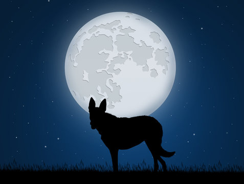 wolf in the moonlight