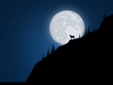 wolf on rope in the moonlight