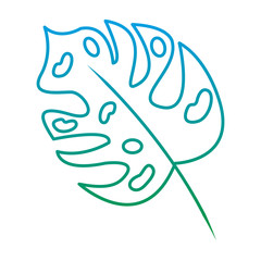 tropical leaf season eco nature vector illustration green color line image