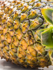 Close-up of ripe pineapple peel with stiff green leaves in the foreground, on white background, sweet and tasty tropical fruit