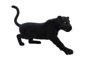 3D Rendering Black Panther on White