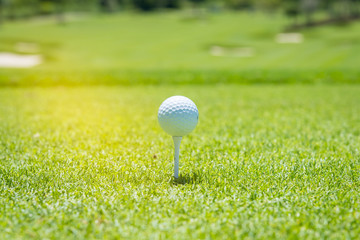 grass, golfer, green, hole, play, sport, tee, golf, ball, course, game, field, player, club, shot, competition, leisure, golfing, activity, recreation, training, outside, summer, swing, exercise, life