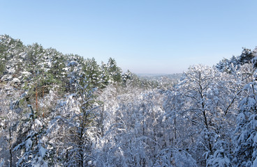Point de vue des gorges d'Apremont sous la neige en forêt de Fontainebleau