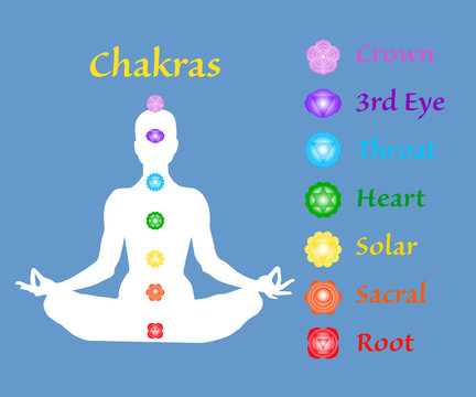 Famale body in lotus yoga asana with seven chakras on blue background. Root, Sacral, Solar, Heart, Throat, 3rd Eye, Crown chakras. Chakras names map. Drawing Vector illustration eps10