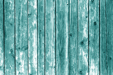 Grungy wooden wall background in cyan color.