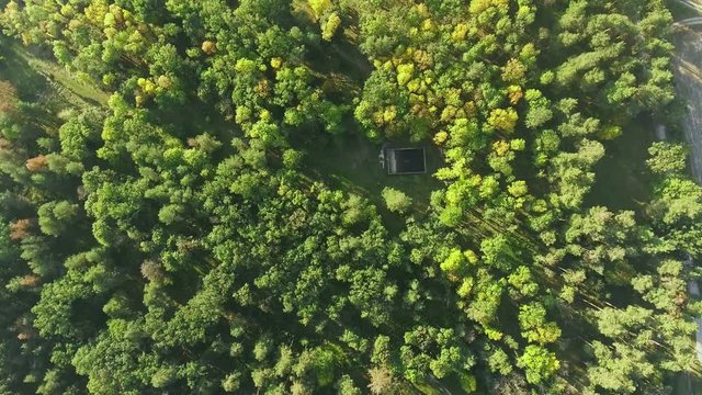 Aerial view camera moves rising up from green forest of dense mixed tree tops