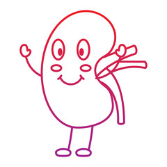 cartoon happy human kidney smiling character vector illustration  red degraded line color