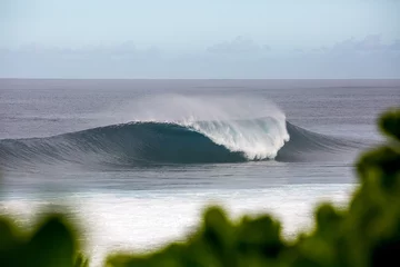 Fototapeten Large dangerous wave breaking on a reef in hawaii, banzai pipeline © Ryan