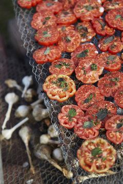 Tomatoes grilled om metal grate