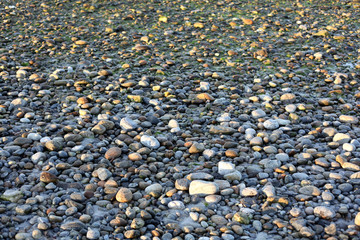 Pebbles on a beach